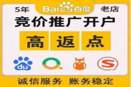 谷歌竞价广告与SEO结合的营销案例解析